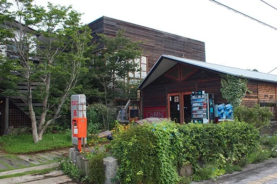 おもちゃ箱のような家